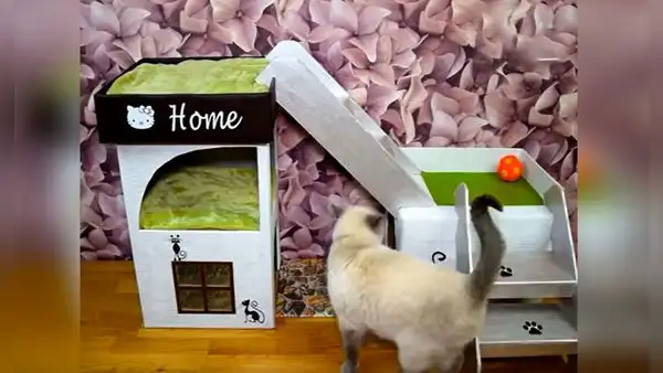 Joven utiliza cajas de cartón para armar una casa de dos pisos para gato 