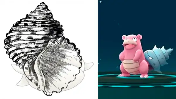 Pokémon GO: ¡Nos engañaron con Shellder! La cola de Slowbro fue mordida por otro pokémon [VIDEO]