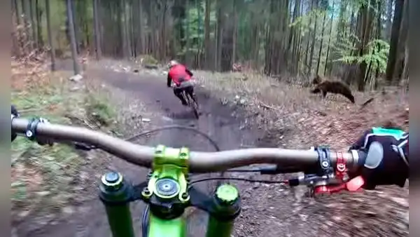 En YouTube el tremendo susto que se llevó ciclista en plena montaña [VIDEO]