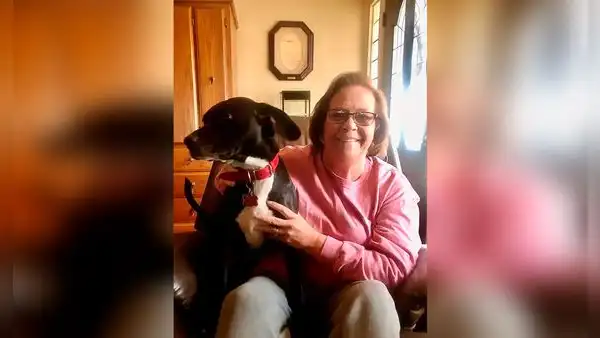 Perrita aparece en el trabajo de su dueña tras haberse perdido por semanas 