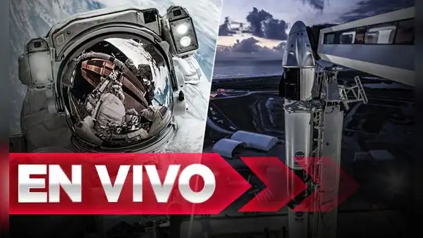 Lanzamiento NASA-SpaceX: Revive AQUÍ el minuto a minuto del despegue de la nave Crew Dragon