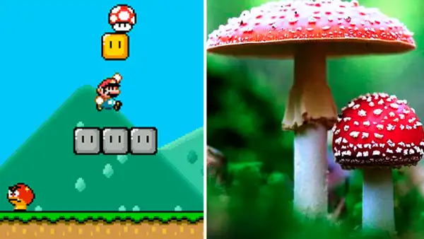 Super Mario Bros: conoce al alucinógeno real que inspiró al hongo del videojuego [FOTOS]