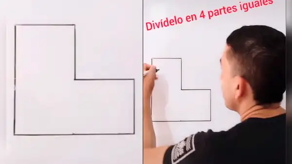 ¿Logras dividir esta imagen en 4 partes iguales? El reto viral que muy pocos logran superar [VIDEO] 