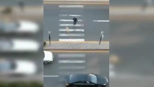 Señor arriesga su vida para impedir que conductores atropellen a un perro callejero [VIDEO]