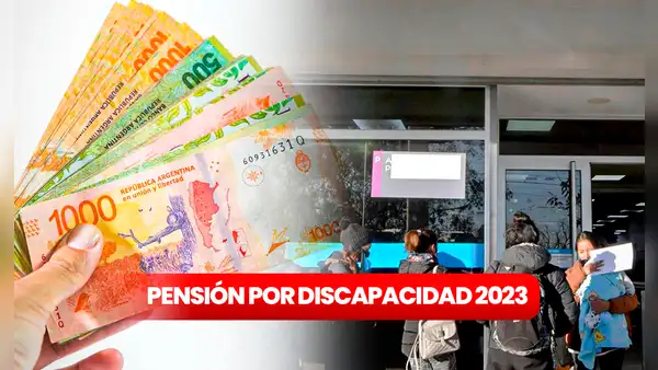 ANSES: paso a paso para consultar tu pensión por discapacidad en 2023