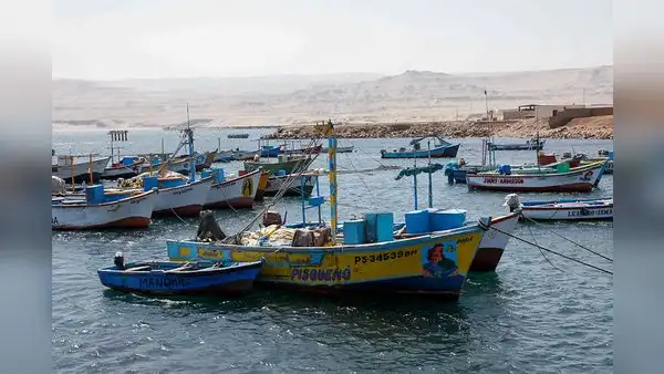 Produce sigue sin emitir los lineamientos para formalizar a la flota pesquera del norte