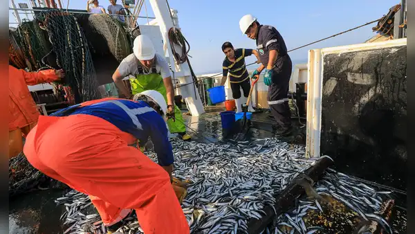 Fallecen 2 trabajadores de una embarcación anchovetera en plena descarga del recurso