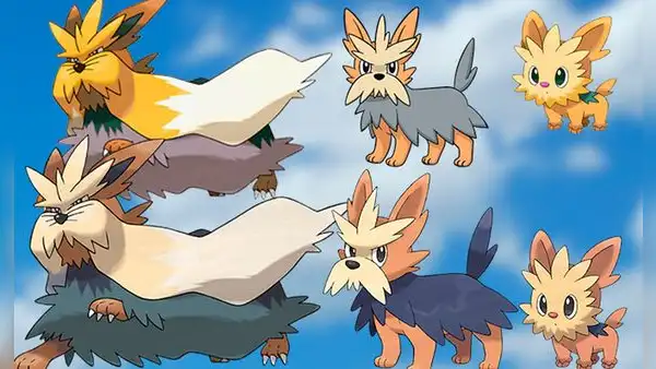Pokémon GO: Lillipup aparecerá con frecuencia y así podrás evolucionarlo