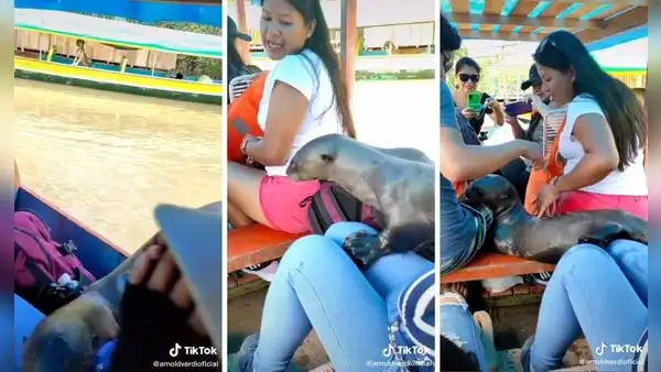 Nutria se sube al bote de unos turistas para ‘acompañarlos’ en su viaje 