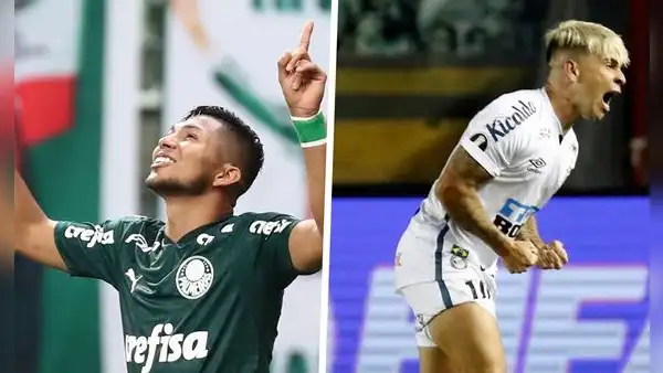 Santos vs. Palmeiras EN VIVO: canales para ver la final de la Libertadores