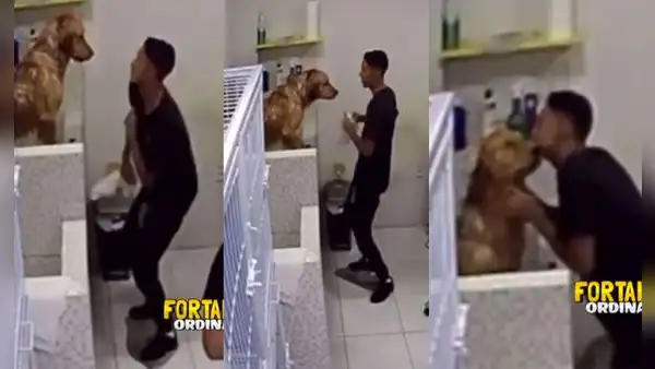 Joven le baila y besa a un perrito para que esté calmado antes de su baño