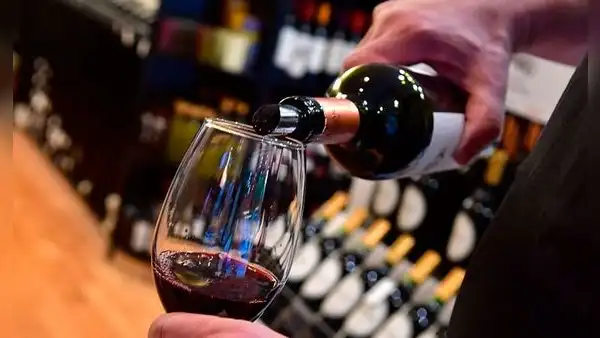 Los 10 vinos argentinos más destacados por calidad y precio en el 2021