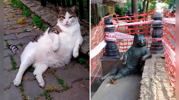Conoce a Tombili, el gato callejero que tiene su propia estatua en Estambul
