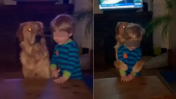 Perrito ‘abraza’ al hijo de su dueña y ambos demuestran que son los ‘mejores amigos’