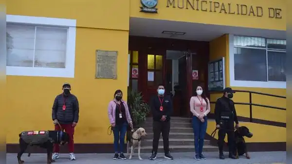 Municipalidad de Lurín adopta a perritos callejeros y los integra a la brigada canina
