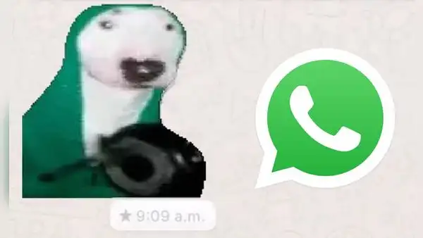 WhatsApp: ¿cómo crear stickers animados personalizados con un video o GIF en movimiento