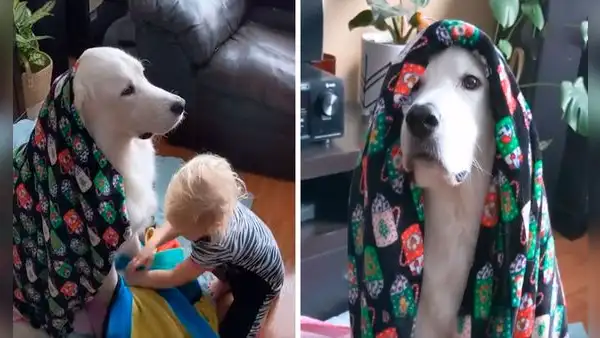 Pequeña protege a su perro con sus frazadas para evitar que sufra por el frío