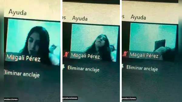 Gato tiene una forma muy particular de llamar la atención de su dueña en clase virtual