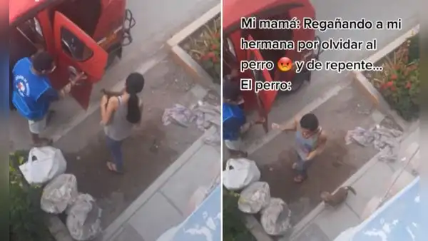 Joven olvida a su perro durante un paseo y can regresa a casa en mototaxi