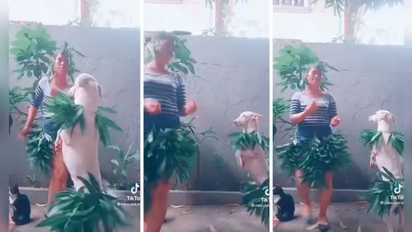Mujer disfraza a su can para caracterizar una adorable coreografía de TikTok