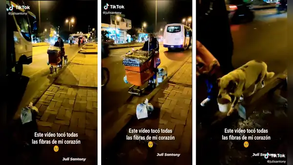 Perrito camina al lado de su dueño mientras lo ‘ayuda’ en su trabajo