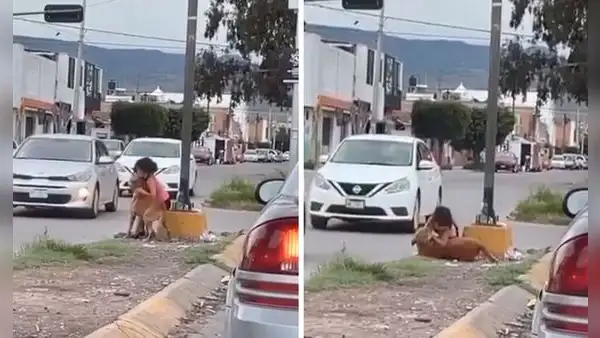 Niña le da un fraternal abrazo a perrito que la cuida durante salida a la calle