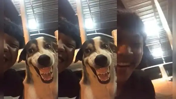 Perrito que imitaba graciosa sonrisa de hombre tuvo inesperada reacción