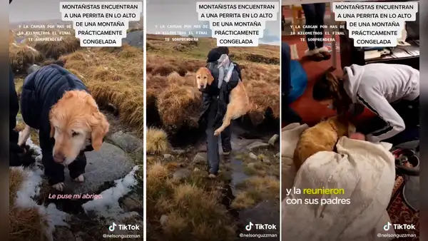 Excursionistas rescatan a perrita y evitan que muera congelada en montaña cubierta de nieve