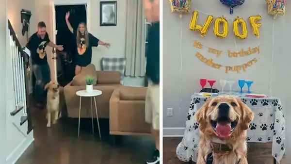 Familia sorprende a su can con una fiesta de cumpleaños por su primer año de vida