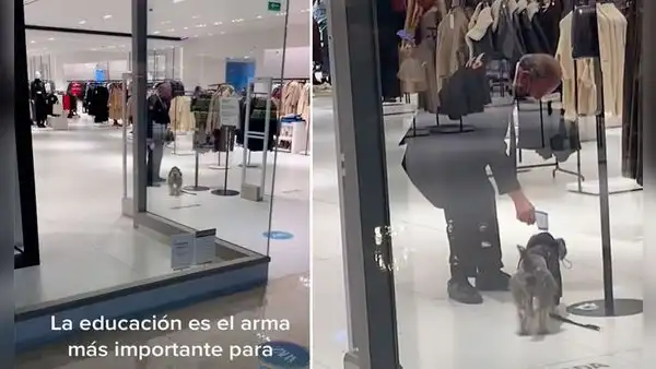 Vigilante de tienda Zara mide la temperatura a un perrito que quería ingresar al local