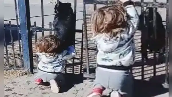 Niño brinda ayuda a su perrito para que pueda salir a jugar