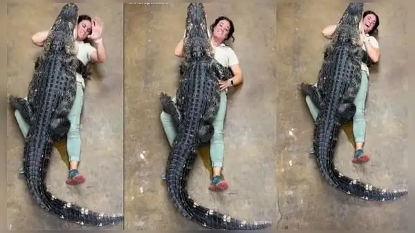 Mujer recibe un inesperado abrazo por parte de un caimán de más de 90 kilos