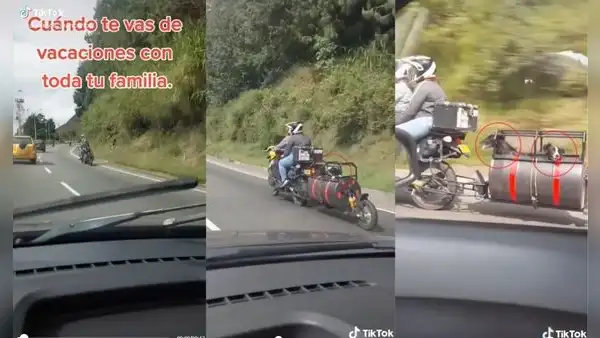 Joven coloca un cochecito en su moto para viajar con sus perros y no dejarlos solos en casa