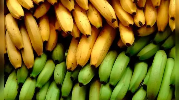 Conoce los 6 tipos de plátano favoritos de los peruanos