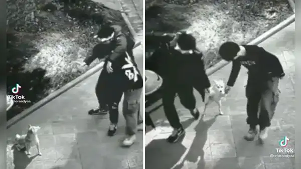 Jóvenes detienen su paseo para invitar a un perro a bailar en medio de la calle