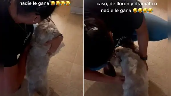Regresa a casa y su perrito se ‘queja’ de familiares que no lo atendieron cuando estaba adolorido