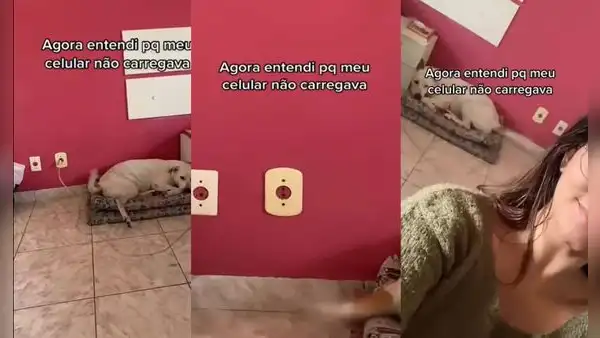 Joven descubre que su perrito suele desconectar el cargador de su celular de forma inusual