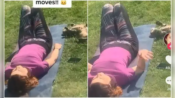 Joven busca a su gato por varias horas y descubre que estaba haciendo yoga con su vecina