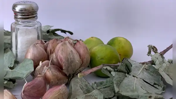 Remedios caseros de plantas medicinales: qué son, para qué sirven y todo lo que debes saber