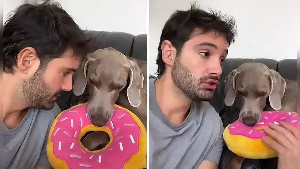 Le pone horario a su perro para jugar y lo regaña por no dejarle hablar mientras le explica