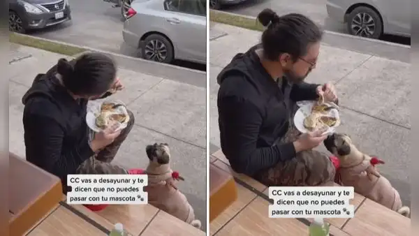 Restaurante le prohíbe ingresar con su perrito y él decide comer en la calle con su mascota