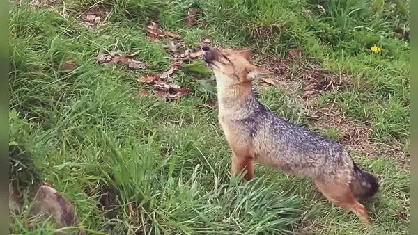 Run Run ya tiene nuevo hogar donde las personas podrán visitarlo