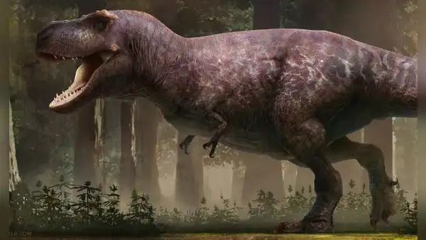 El tiranosaurio rex habría evolucionado con brazos ‘ridículos’ para evitar su muerte