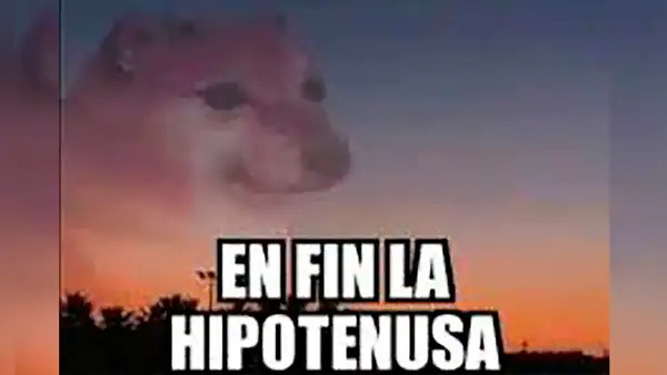 ¿Qué significa la frase “En fin, la hipotenusa” y en qué situaciones suele utilizarse?