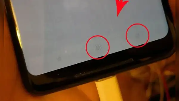 ¿Por qué jamás debes dejar una imagen fija en tu teléfono por mucho tiempo?