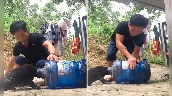 Joven escucha el llanto de su perro y ve que tiene la cabeza atrapada en un bidón de agua