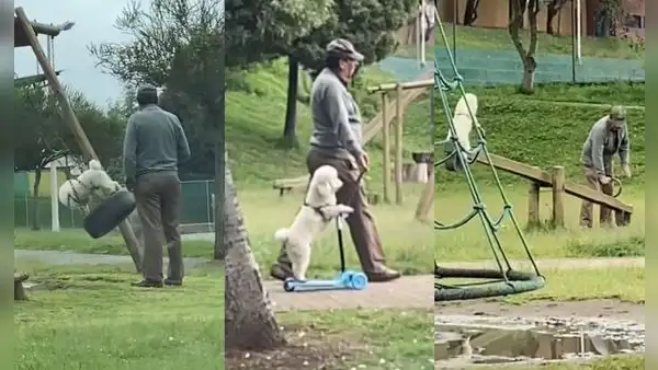 Hombre lleva a su perro al parque y lo deja subirse a los juegos infantiles 