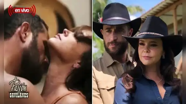 “Pasión de gavilanes 2″, capítulo 66: ¿cómo y dónde ver el episodio de la novela colombiana?