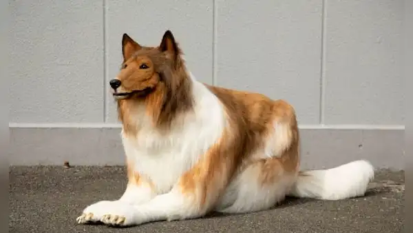 Hombre deseaba ser un perro y mandó a confeccionar un disfraz realista para lucir como uno