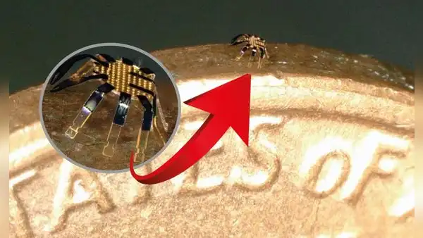 Casi invisible: crean robot ‘cangrejo’ tan pequeño que cabe por el ojo de una aguja